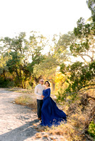 Maternity + Newborn + Milestones